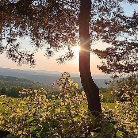 Ferienwohnung Saalfeld - Sommerfrische Burkersdorf Saalfeld Saale Экстерьер фото